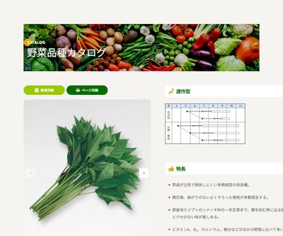 モロヘイヤの画像