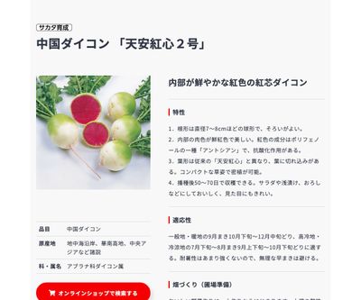 天安紅心２号の画像