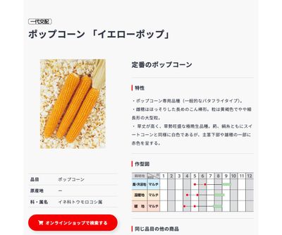 イエローポップの画像