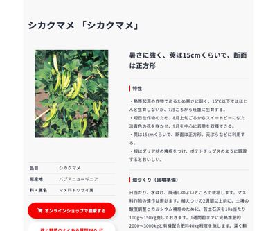 シカクマメの画像