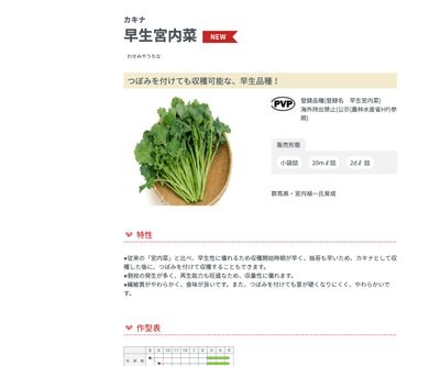 カキナ 早生宮内菜の画像