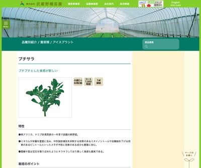 プチサラの画像