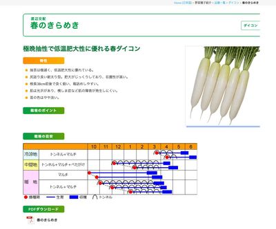春のきらめきの画像