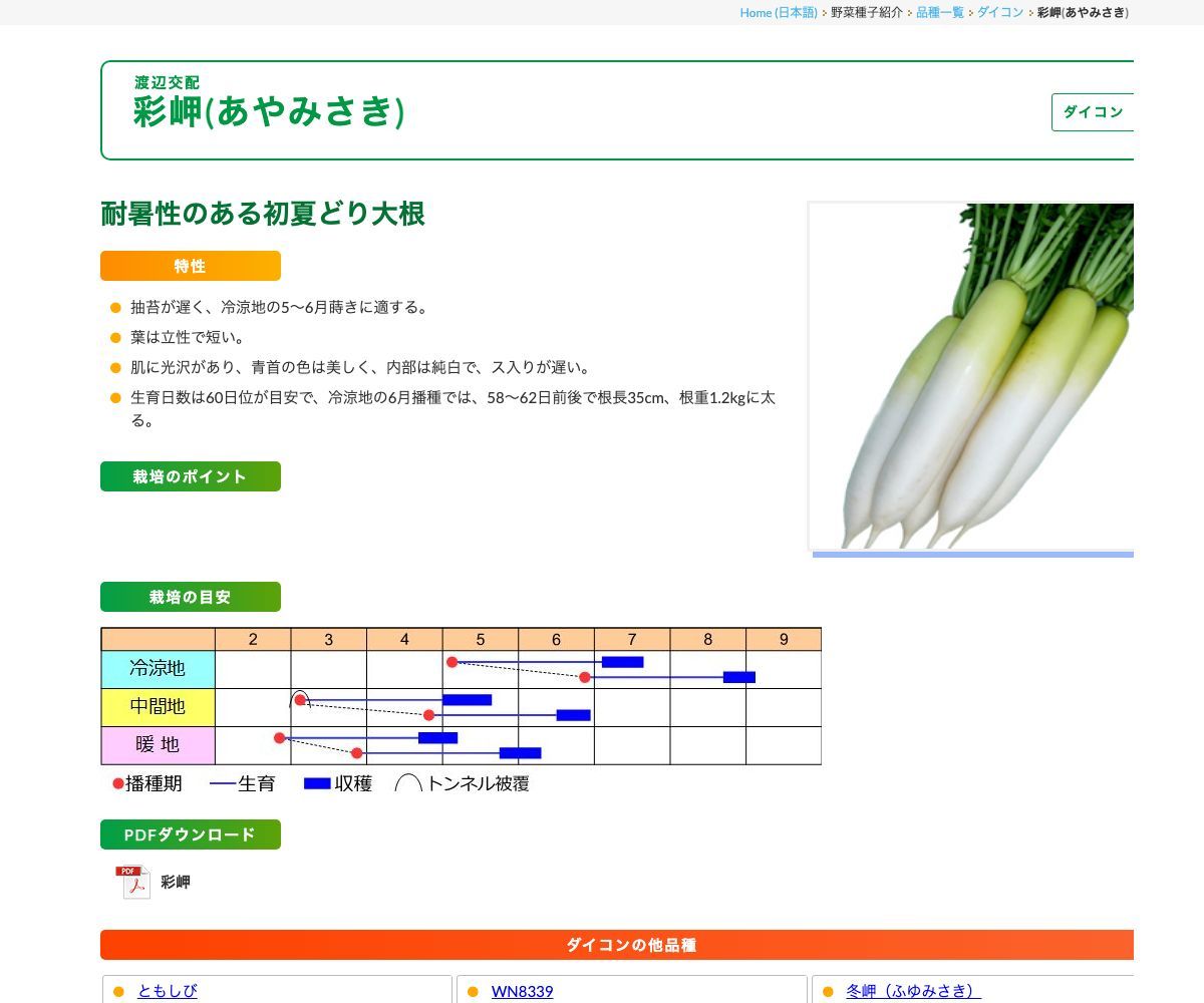 彩岬(あやみさき)