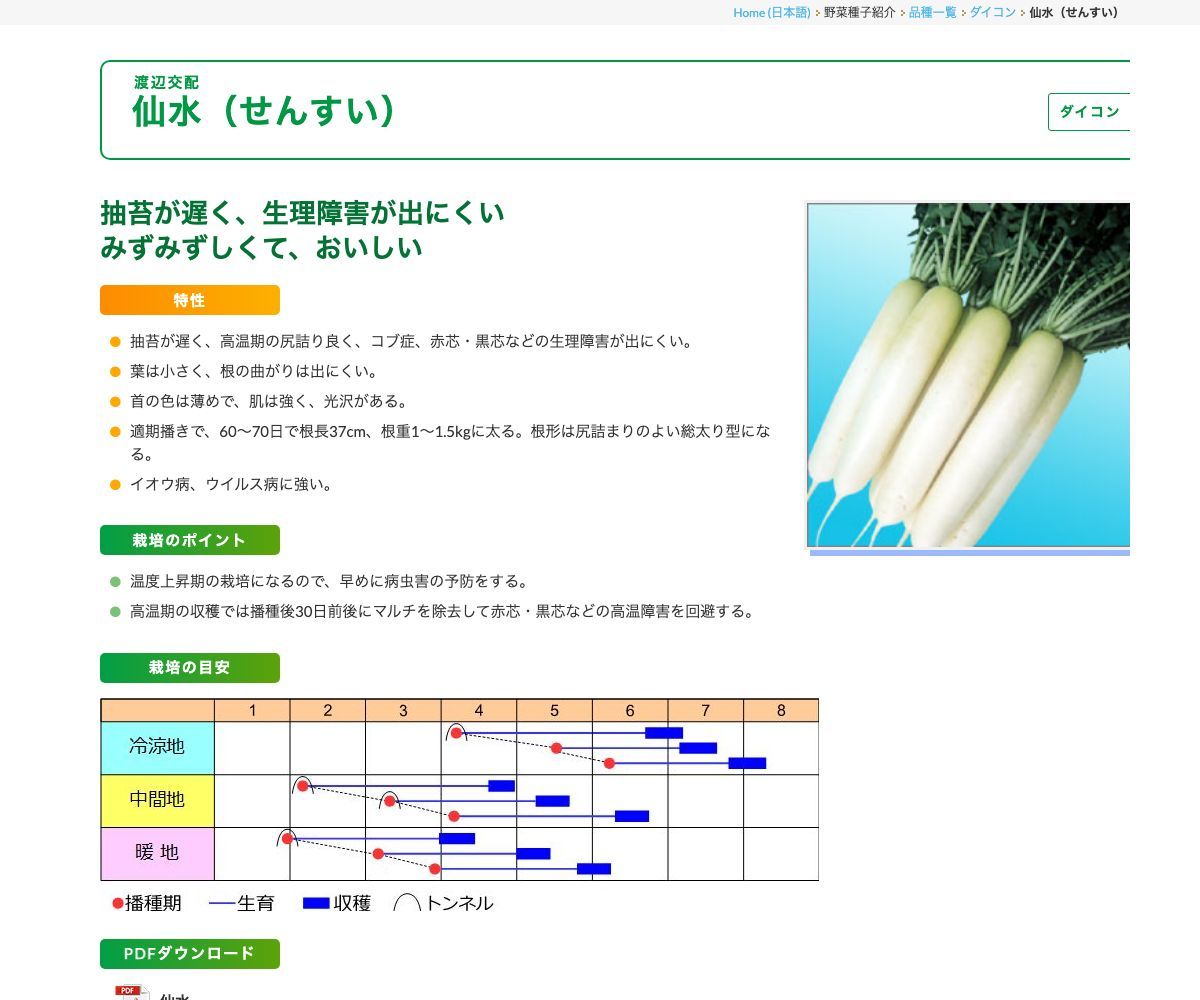 仙水（せんすい）