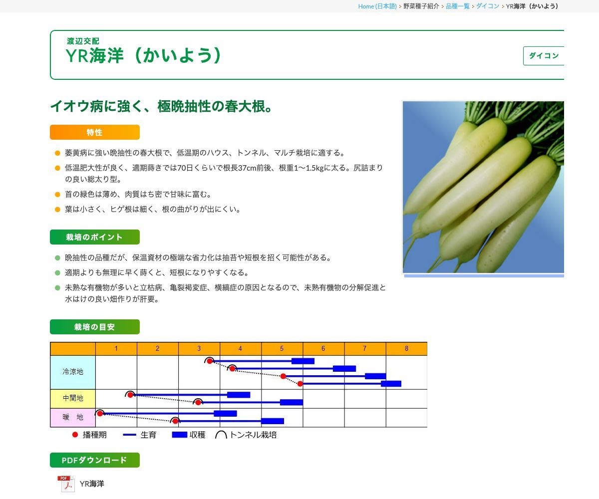 YR海洋（かいよう）