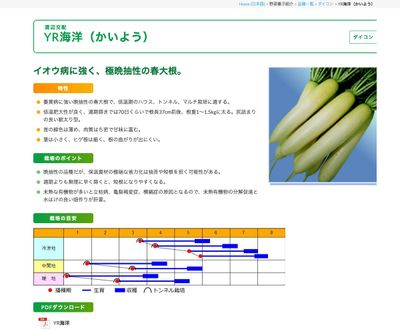YR海洋（かいよう）の画像