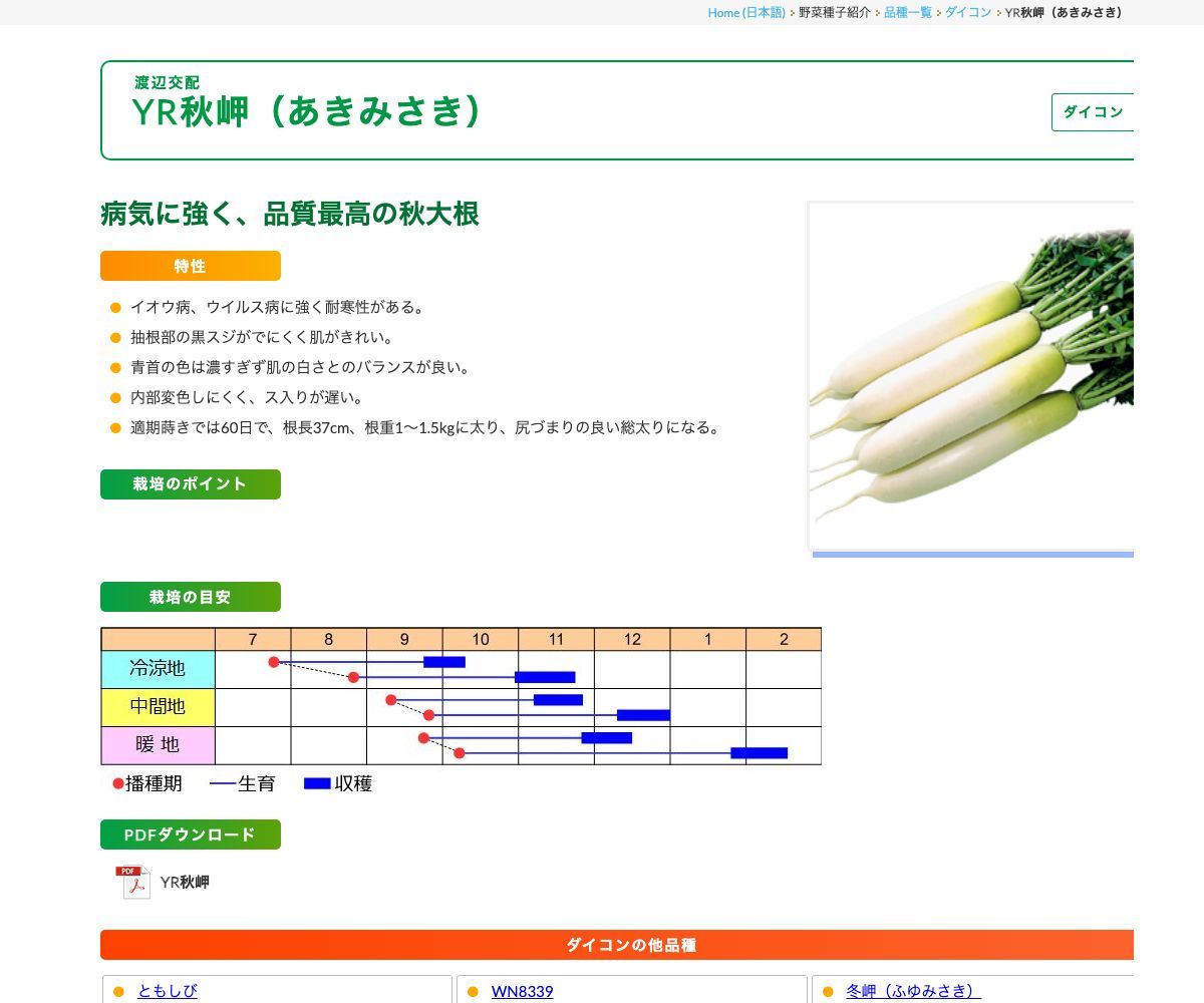 YR秋岬（あきみさき）