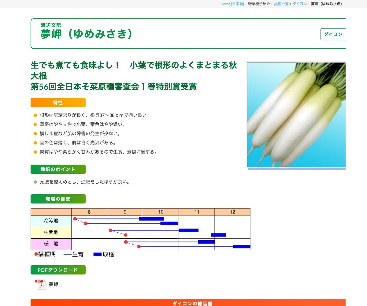 夢岬（ゆめみさき）