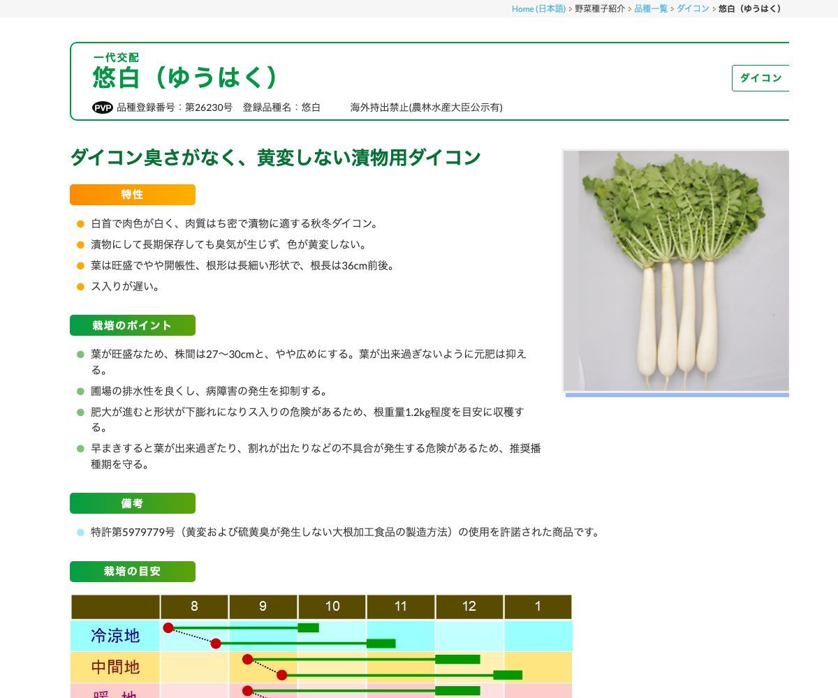 悠白（ゆうはく）