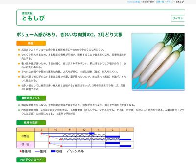 ともしびの画像