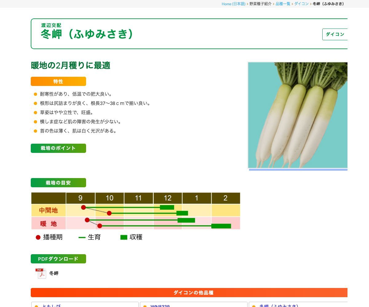 冬岬（ふゆみさき）