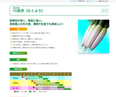 YR拓洋（たくよう）の画像