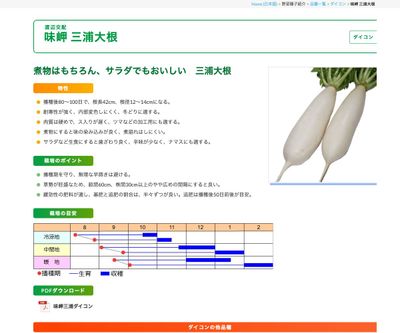味岬 三浦大根の画像