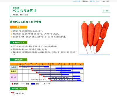 べにもり®五寸の画像