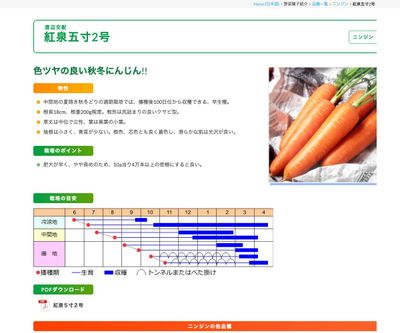 紅泉五寸2号の画像