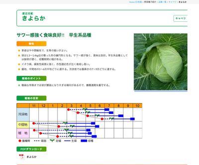 きよらかの画像