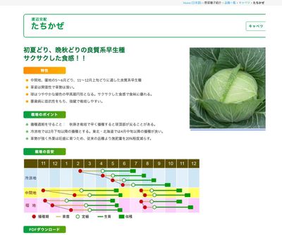 たちかぜの画像