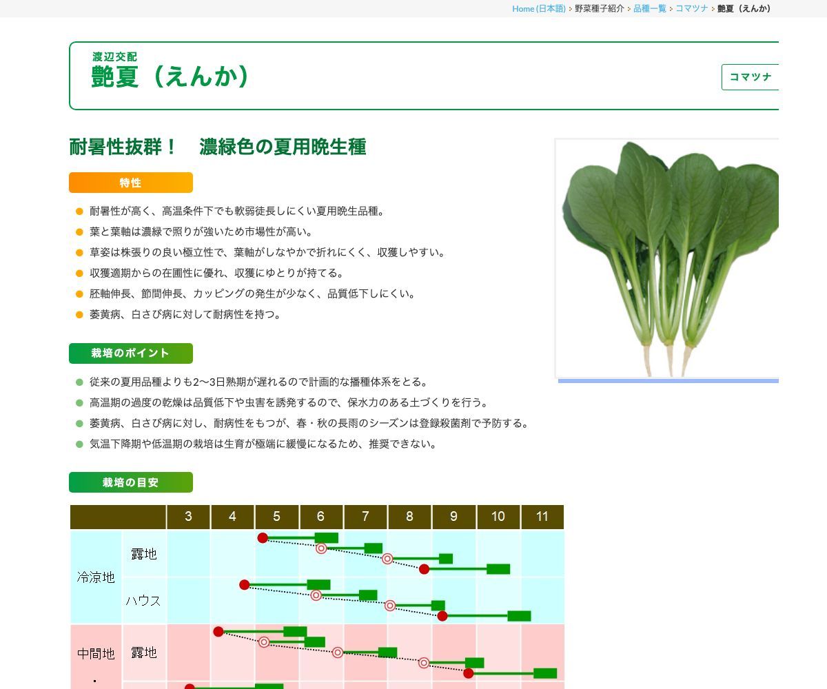 艶夏（えんか）