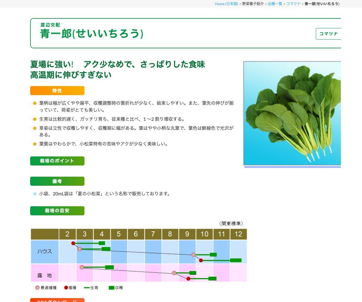 青一郎(せいいちろう)