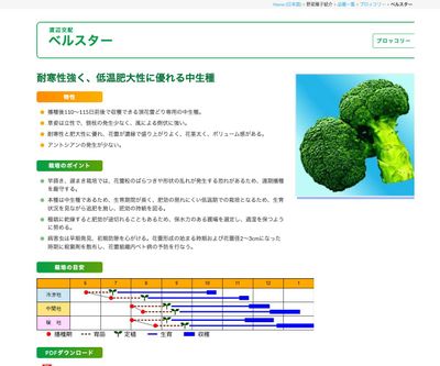 ベルスターの画像