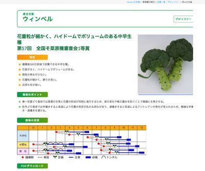 ウィンベルの画像