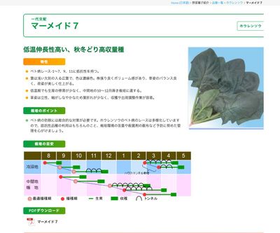 マーメイド７の画像