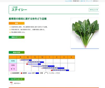 ステイシーの画像