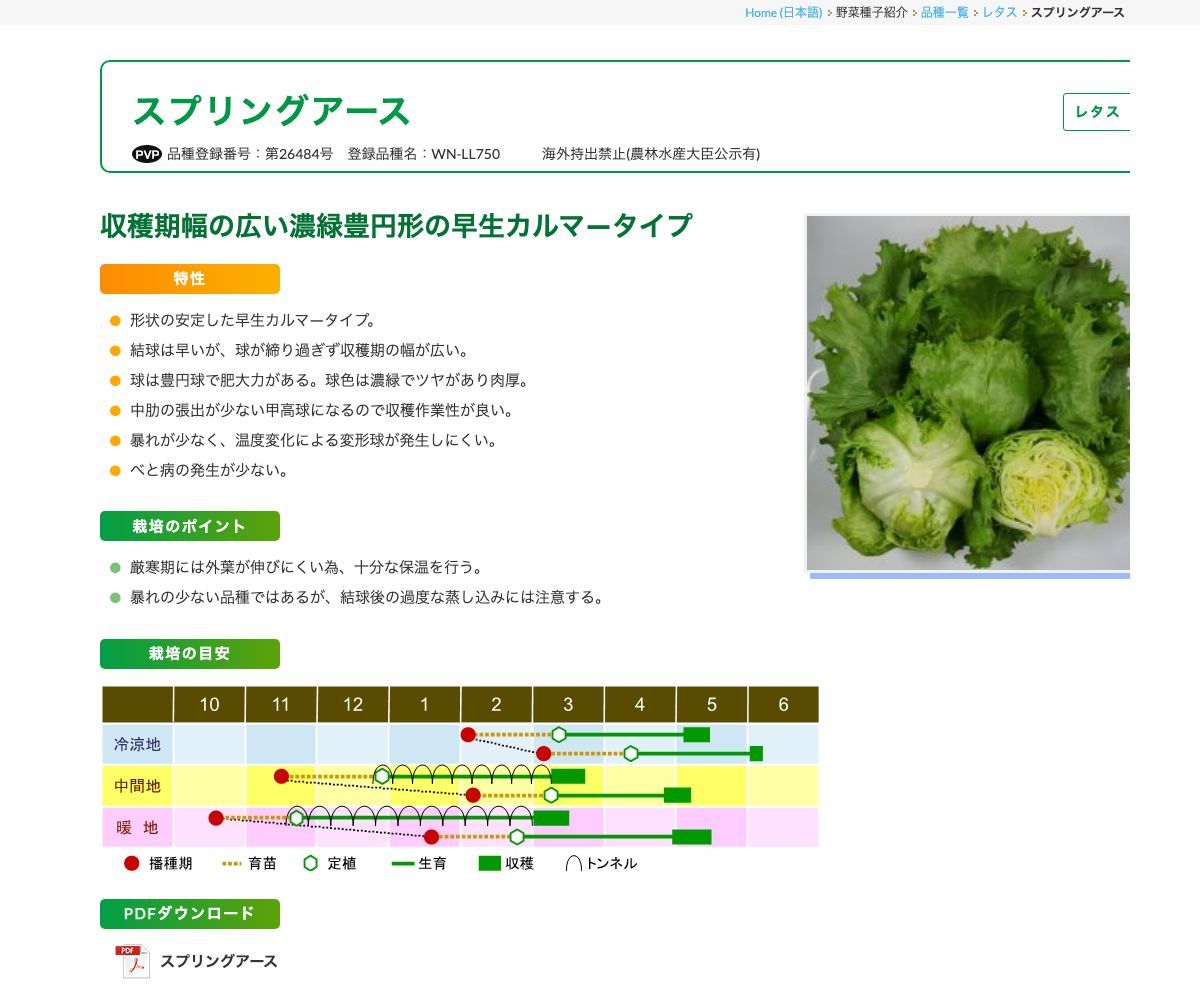 スプリングアース