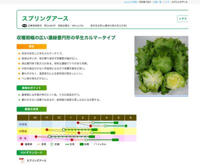 スプリングアースの画像