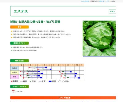 エステスの画像
