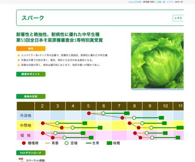 スパークの画像