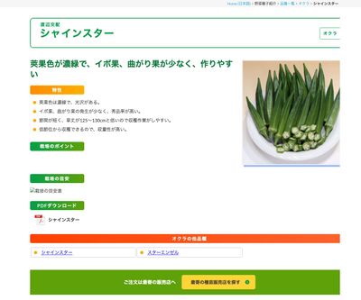 シャインスターの画像