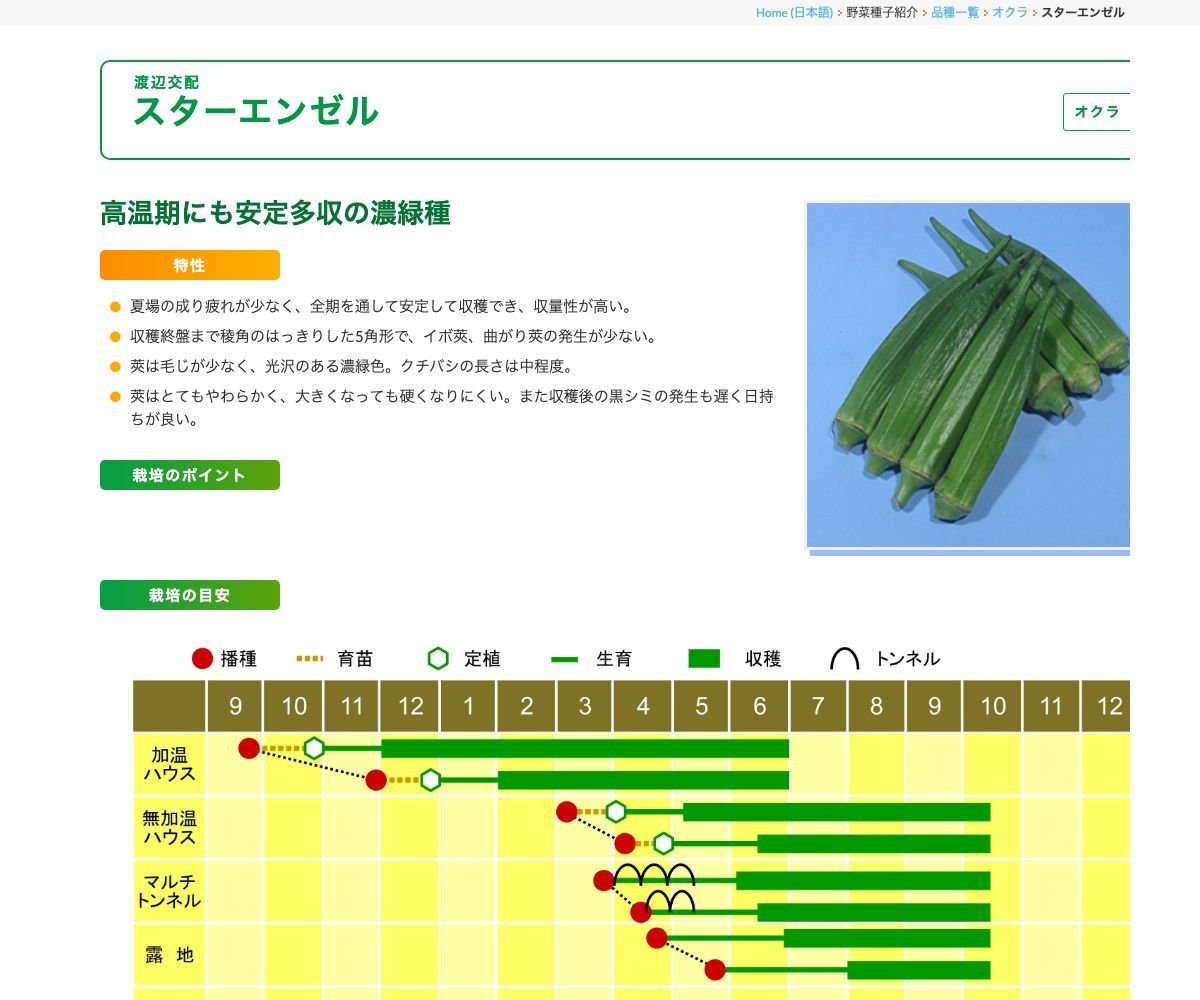 スターエンゼル
