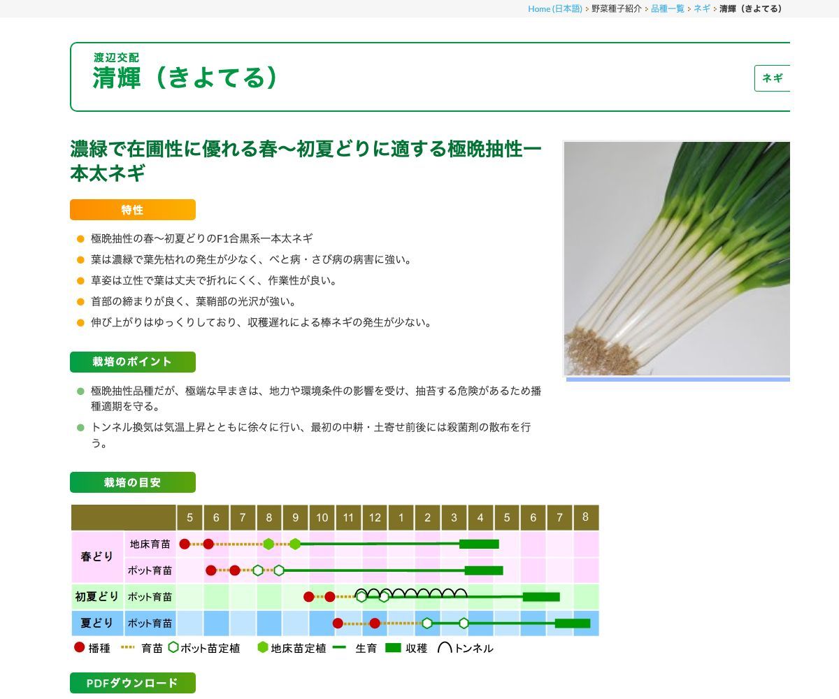 清輝（きよてる）