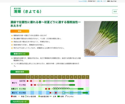 清輝（きよてる）の画像