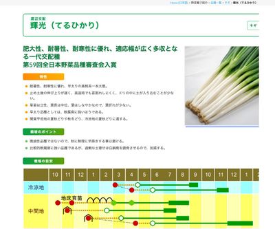 輝光（てるひかり）の画像