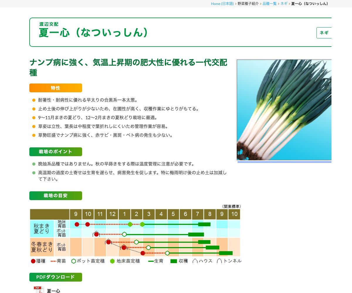 夏一心（なついっしん）