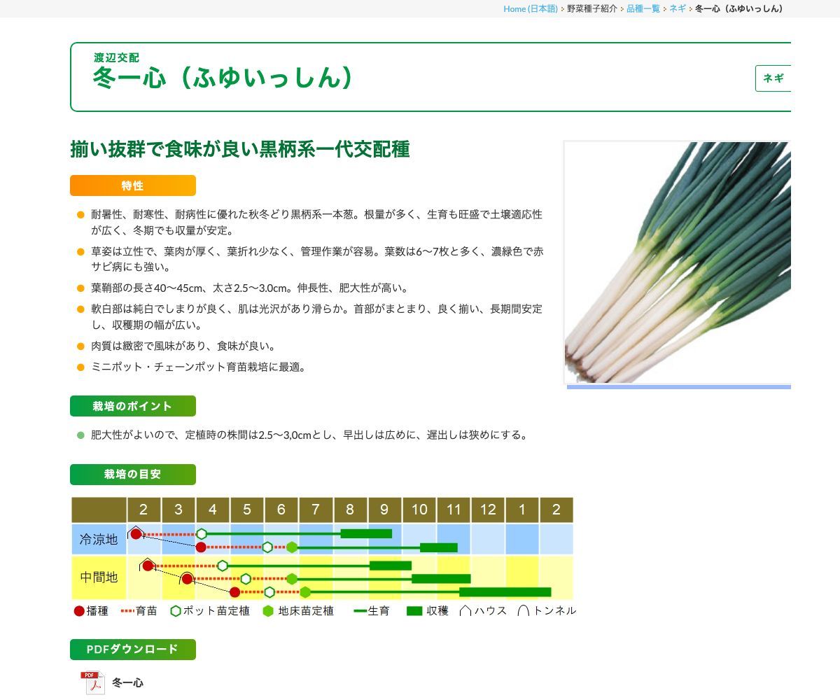 冬一心（ふゆいっしん）