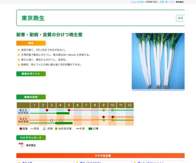 東京晩生の画像