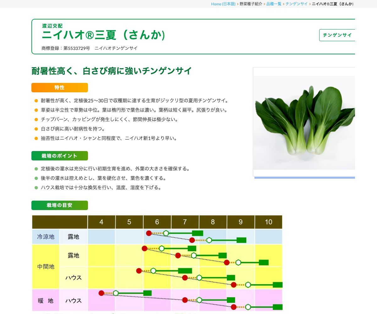 ニイハオ®三夏（さんか)