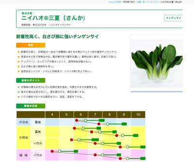 ニイハオ®三夏（さんか)の画像
