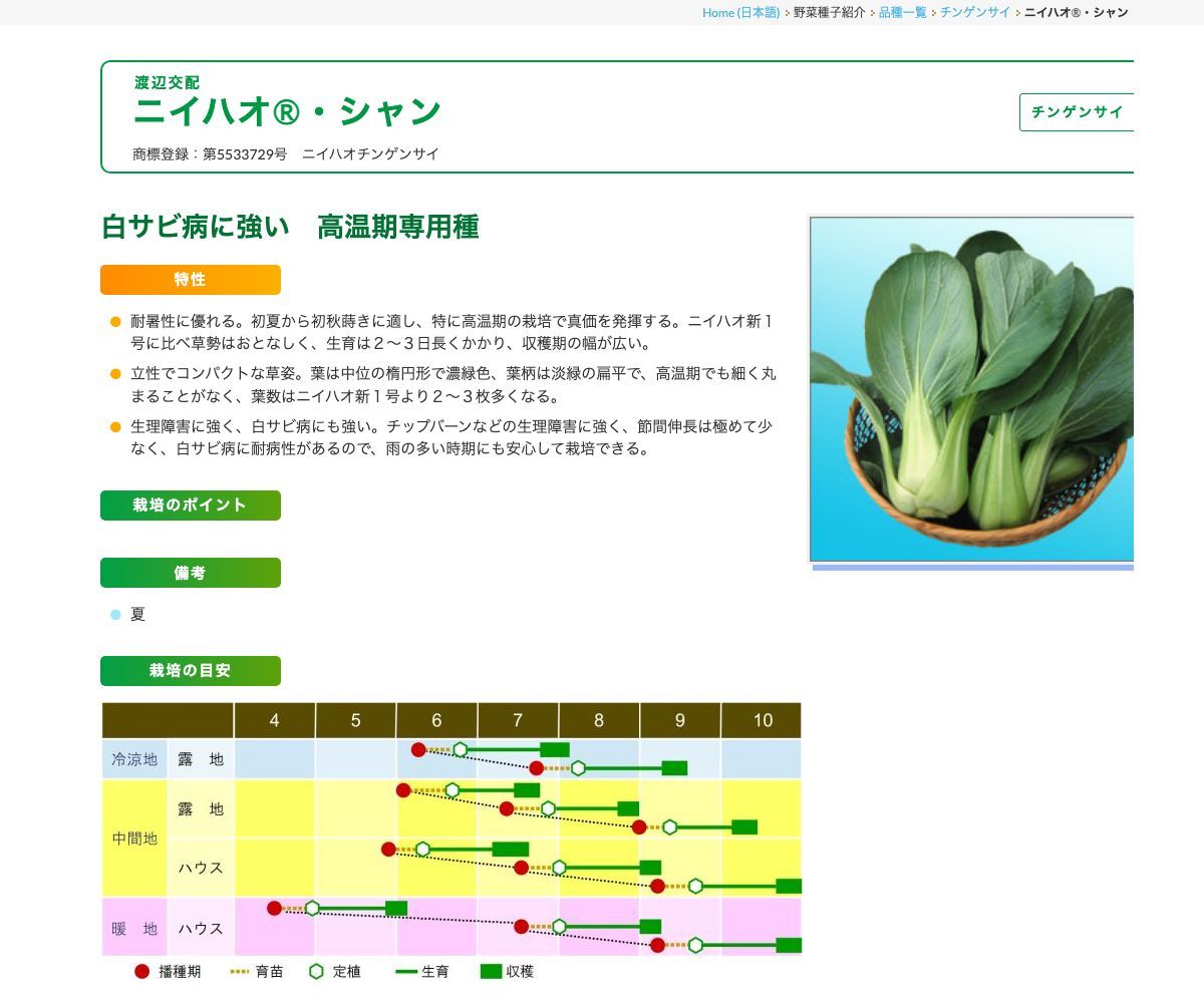 ニイハオ®・シャン