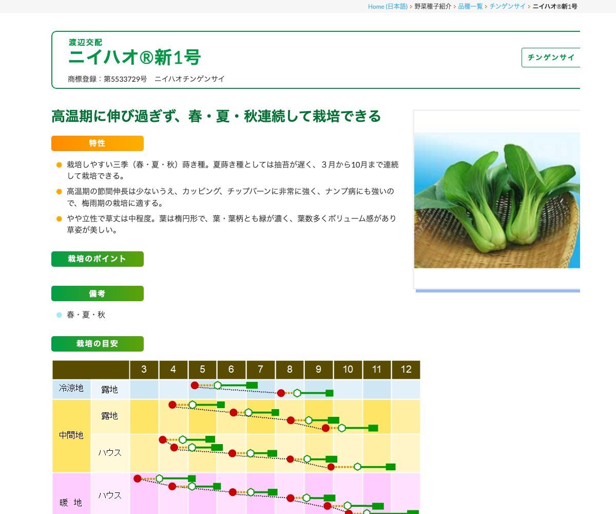 ニイハオ®新1号