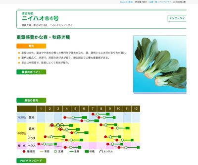 ニイハオ®4号の画像