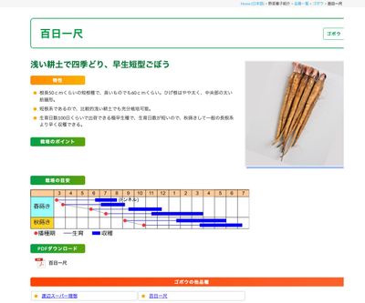 百日一尺の画像