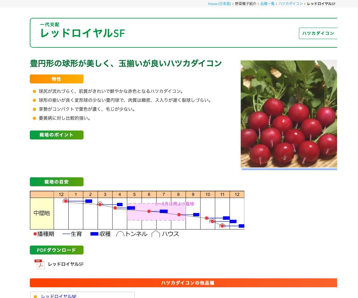 レッドロイヤルSF