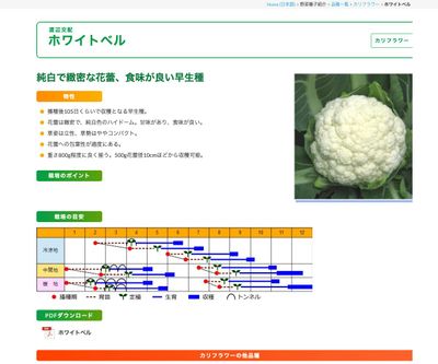 ホワイトベルの画像