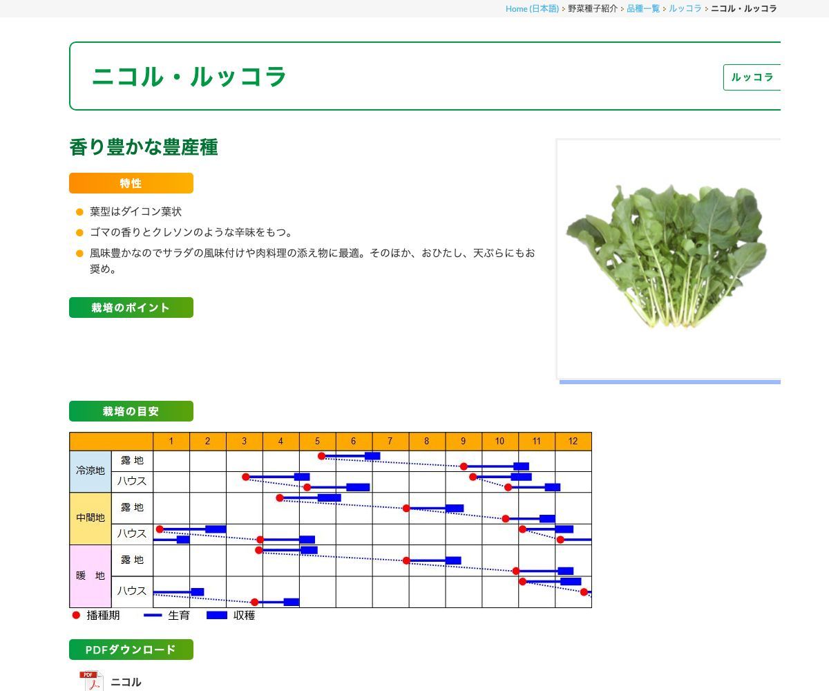 ニコル・ルッコラ