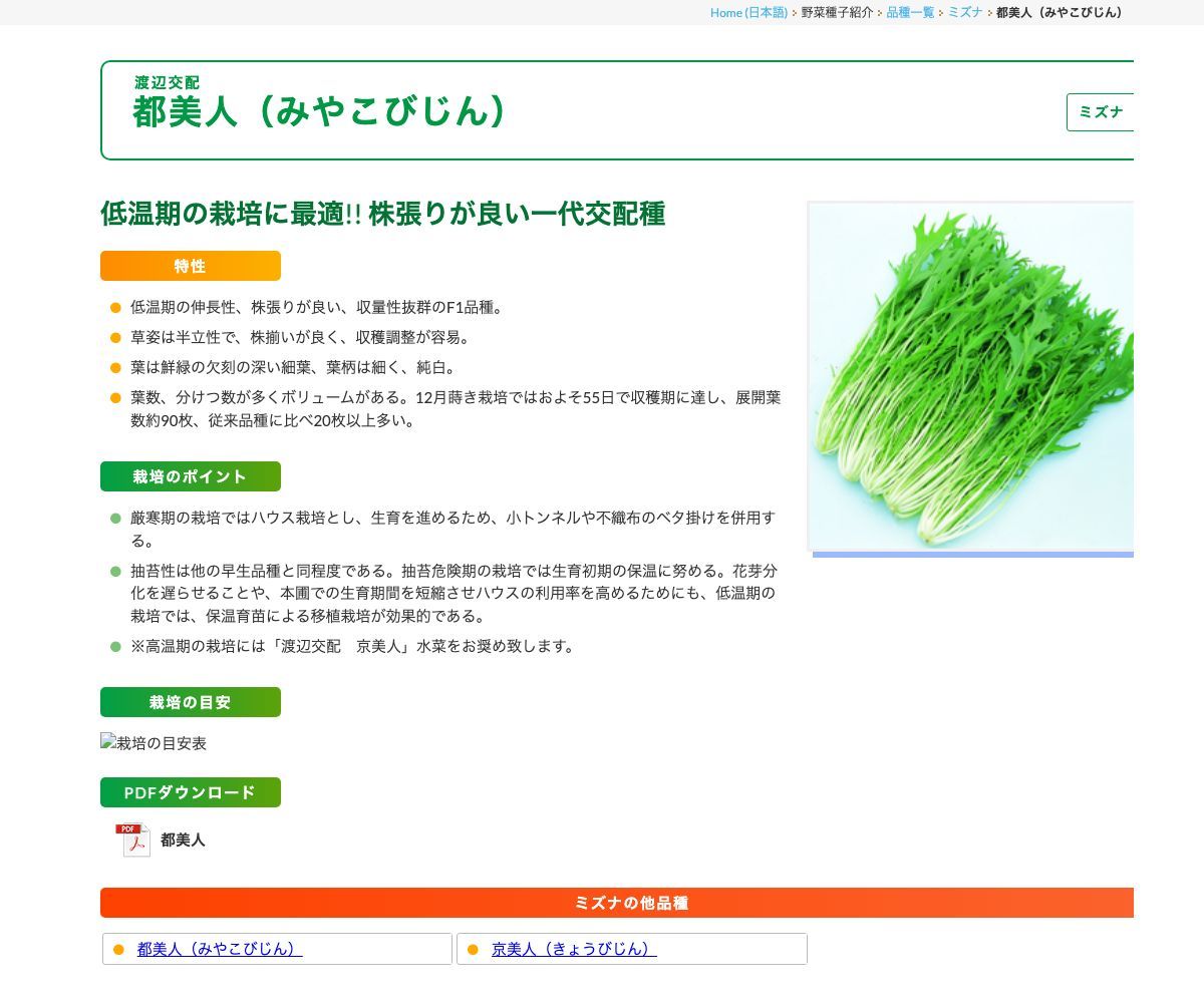 都美人（みやこびじん）